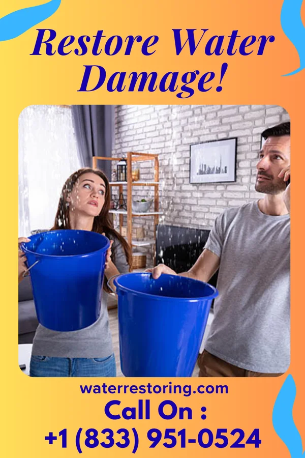 water restoration Eco Sewage Cleanup Brothers Plain