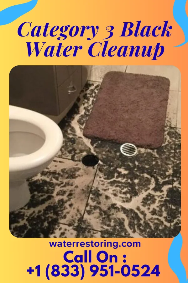 Category 3 Black Water Cleanup in Plain, WI