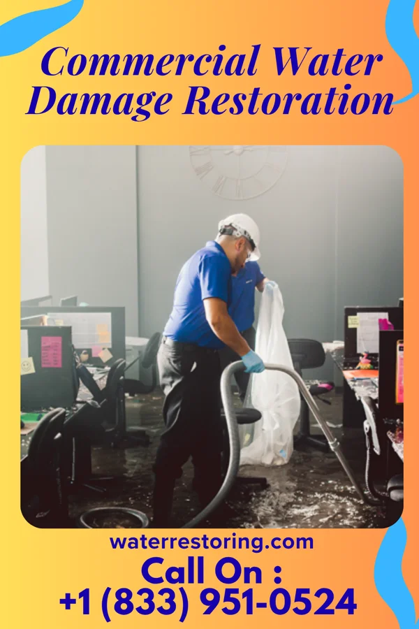Commercial Water Damage Restoration in Plain, WI
