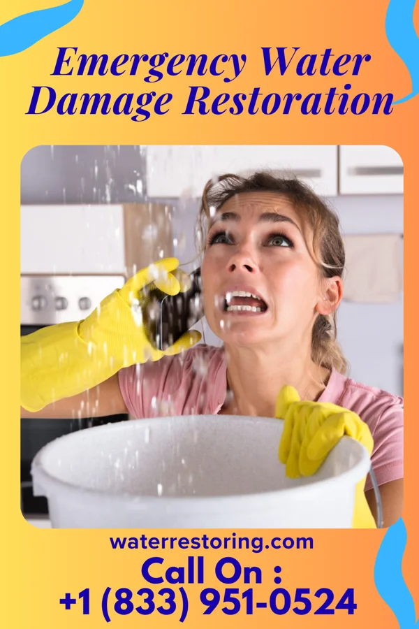 Emergency Water Damage Restoration in Plain, WI