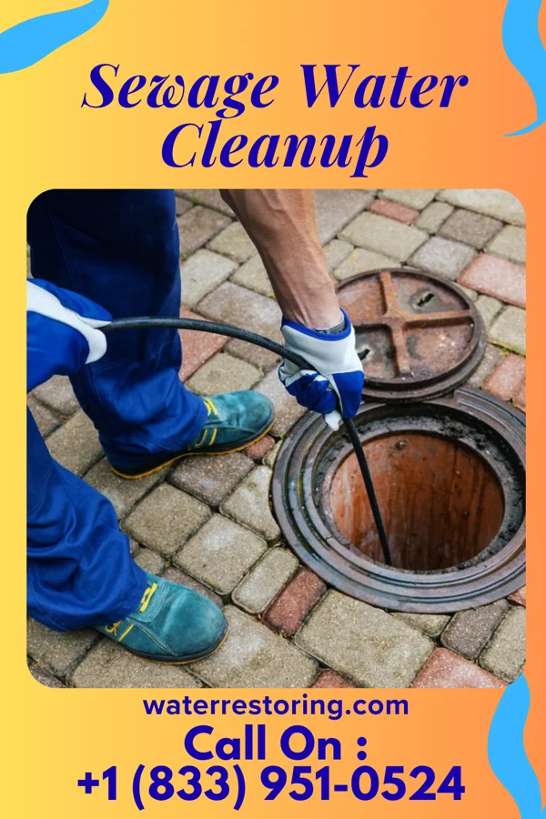 Sewage Water Cleanup in Plain, WI